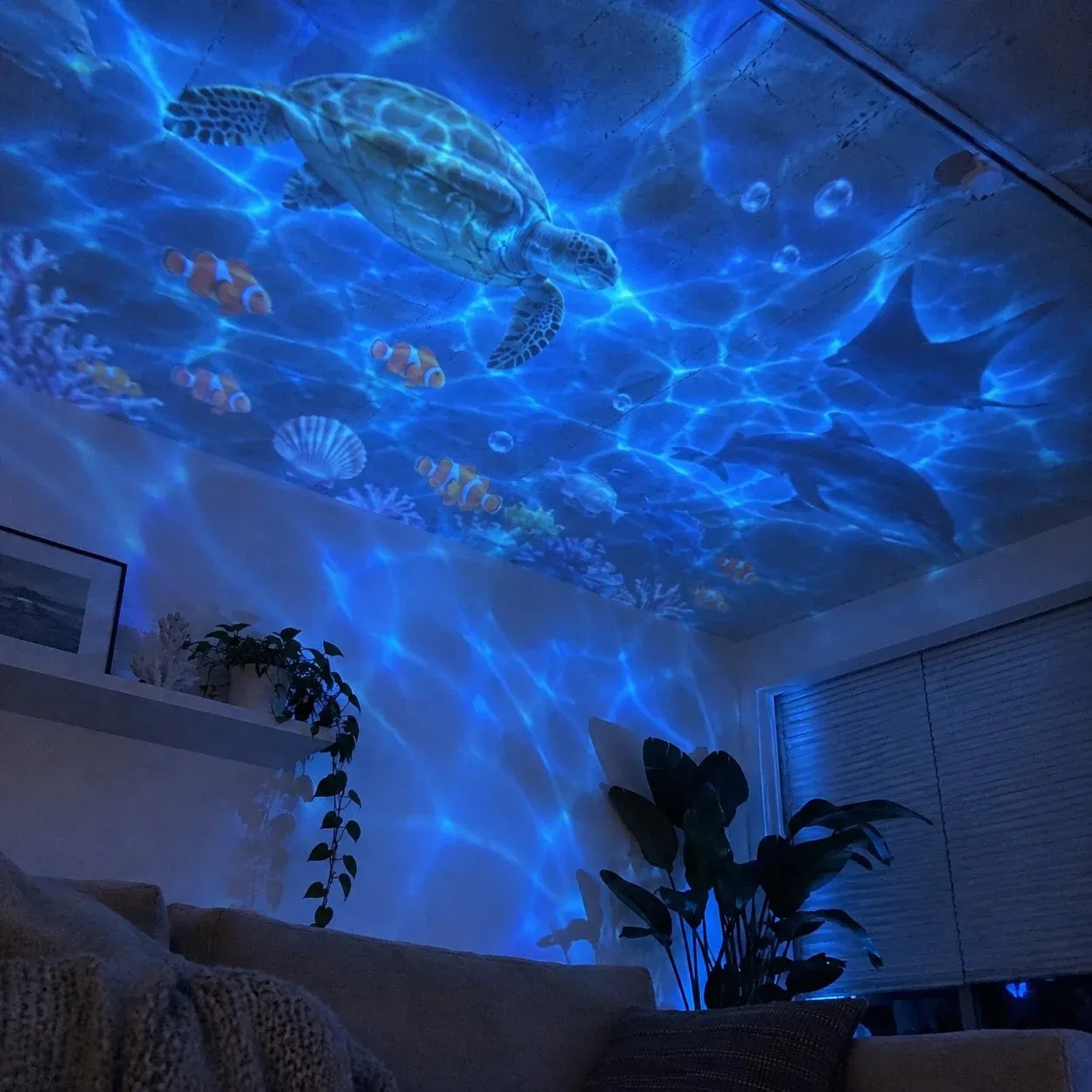 Glow Reef™ Ocean Light